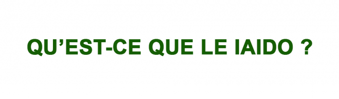 Image de l'actu 'QU’EST-CE QUE LE IAIDO ?'