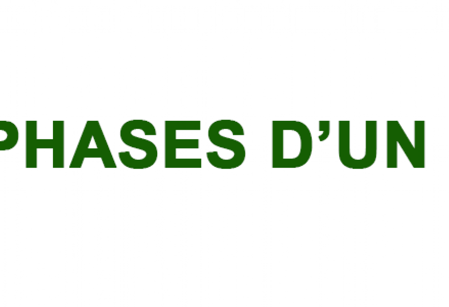 LES PHASES D'UN KATA