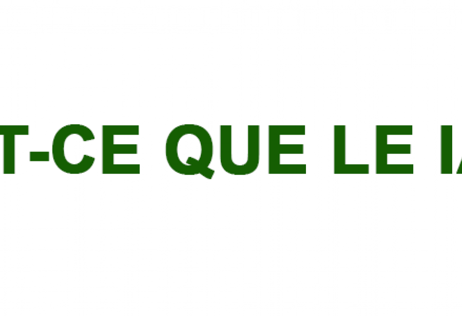 QU’EST-CE QUE LE IAIDO ?
